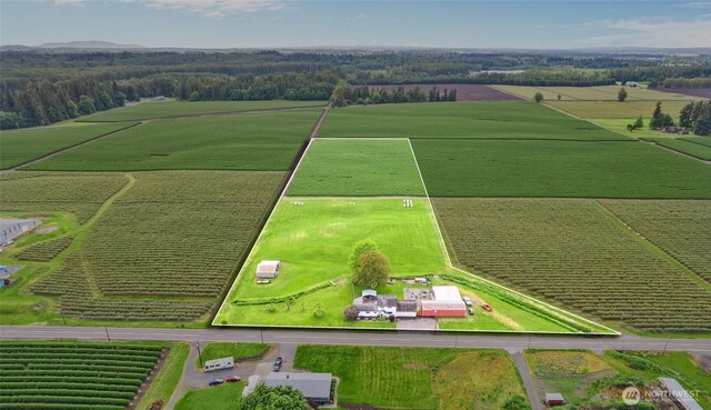 6515 Lawrence Rd, Everson, WA 98247 - aerial view of sparsely populated area with rows of crops