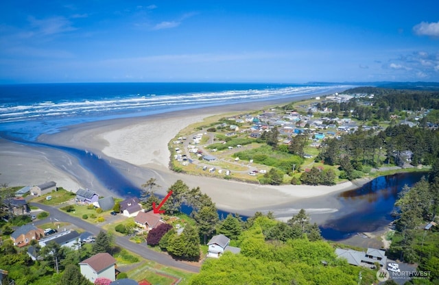 12 Diamond Dr, Pacific Beach, WA 98571 - drone / aerial view of expansive beach