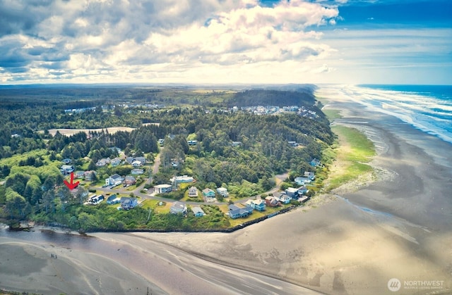 12 Diamond Dr, Pacific Beach, WA 98571 - aerial overview of property's location with a large body of water