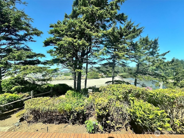 12 Diamond Dr, Pacific Beach, WA 98571 - view of yard with a water view