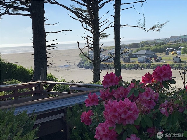 12 Diamond Dr, Pacific Beach, WA 98571 - view of yard featuring view of water and beach
