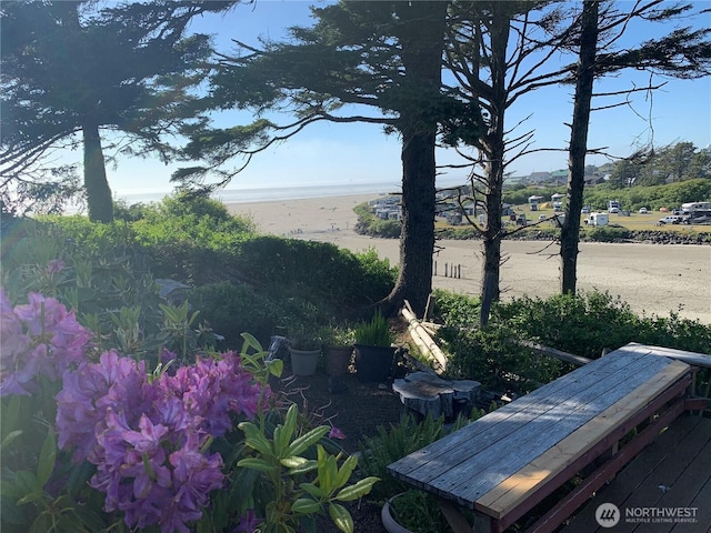 12 Diamond Dr, Pacific Beach, WA 98571 - view of yard