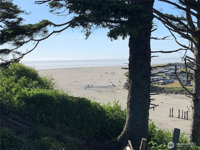 12 Diamond Dr, Pacific Beach, WA 98571 - water view