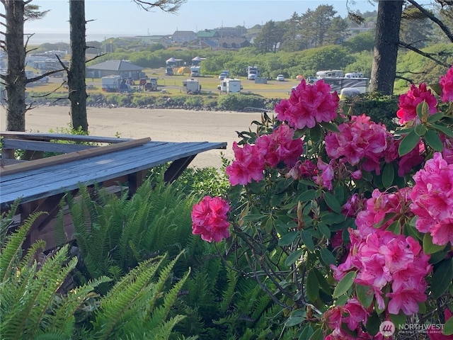 12 Diamond Dr, Pacific Beach, WA 98571 - exterior view