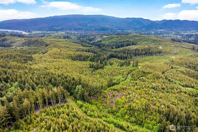 3 Parpala Rd Unit 3, Naselle, WA 98638