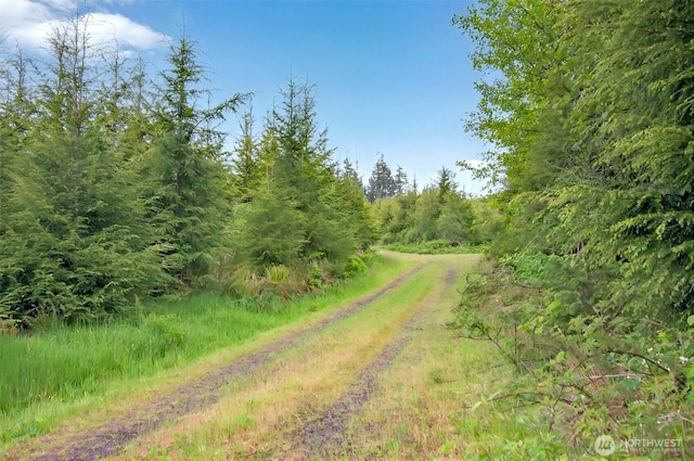 3 Parpala Rd Unit 3, Naselle, WA 98638