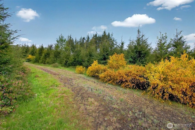 3 Parpala Rd Unit 3, Naselle, WA 98638