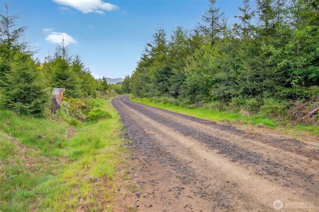3 Parpala Rd Unit 3, Naselle, WA 98638