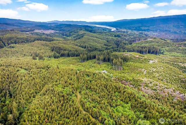 3 Parpala Rd Unit 3, Naselle, WA 98638
