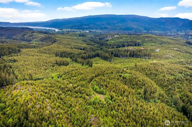 3 Parpala Rd Unit 3, Naselle, WA 98638