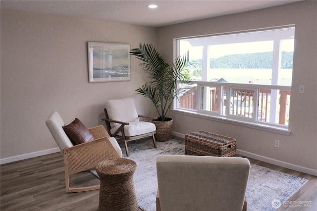 340 N Terrace Rd, Hoodsport, WA 98548 - living area with healthy amount of natural light, baseboards, wood finished floors, and recessed lighting