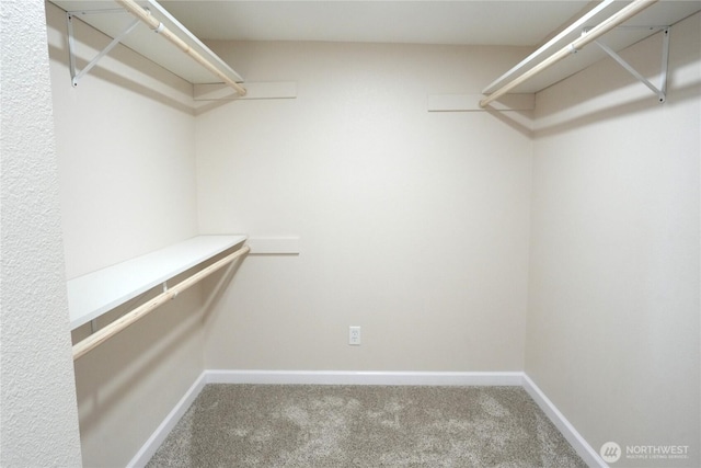 340 N Terrace Rd, Hoodsport, WA 98548 - spacious closet featuring carpet floors