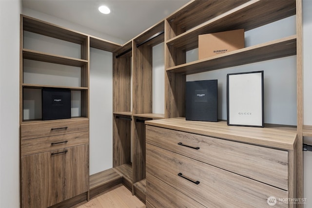 view of walk in closet