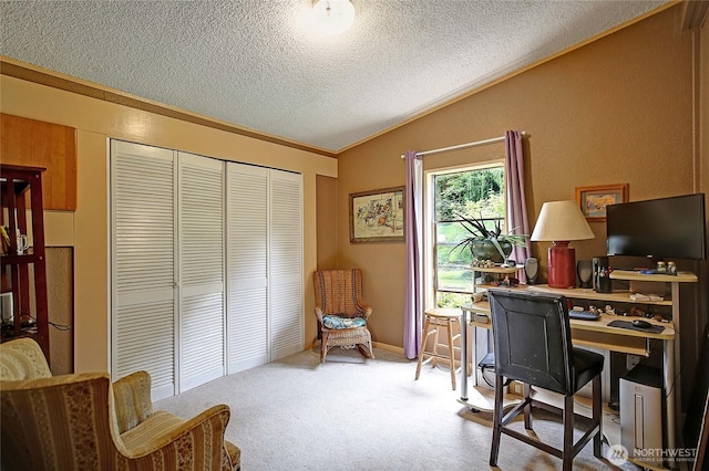 472 Iris Ln, Camano Island, WA 98282 - carpeted office with lofted ceiling and a textured ceiling