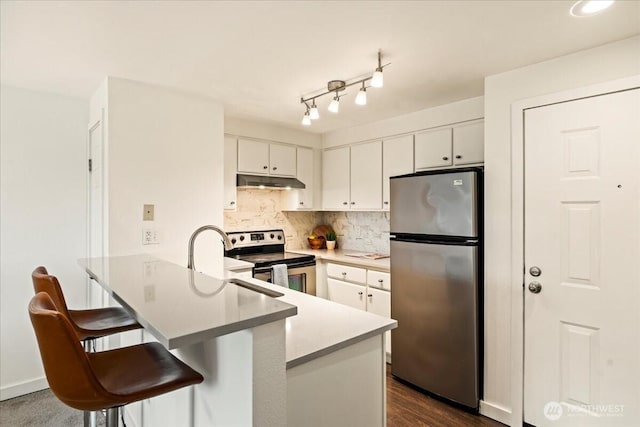 9200 Greenwood Ave N Unit 511, Seattle, WA 98103 - kitchen with appliances with stainless steel finishes, under cabinet range hood, a peninsula, backsplash, and white cabinets