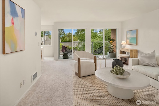 2501 Canterbury Ln E Unit 318, Seattle, WA 98112 - living room featuring light colored carpet and baseboards