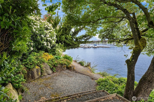 2501 Canterbury Ln E Unit 318, Seattle, WA 98112 - water view featuring a boat dock