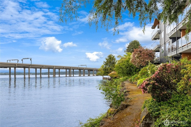 2501 Canterbury Ln E Unit 318, Seattle, WA 98112 - dock area with a water view