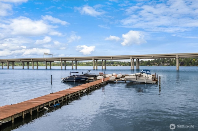 2501 Canterbury Ln E Unit 318, Seattle, WA 98112 - dock featuring a water view