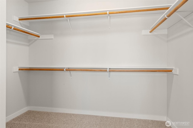 2880 75th Ave SW Lot 62, Tumwater, WA 98512 - walk in closet with carpet