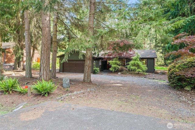 view of property hidden behind natural elements featuring driveway and a garage
