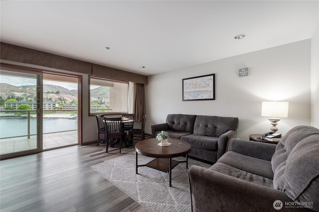 living room with wood finished floors
