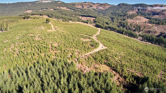 4 NE Jones Creek Rd, Camas, WA 98607 - photo 1