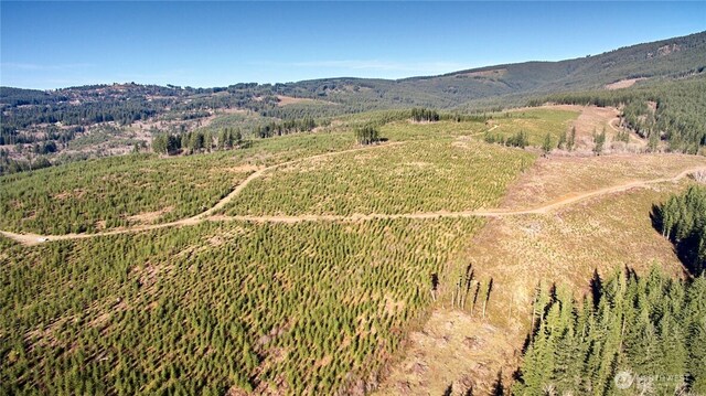 4 NE Jones Creek Rd, Camas, WA 98607 - photo 6