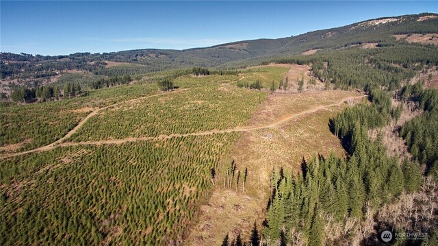 4 NE Jones Creek Rd, Camas, WA 98607 - photo 7