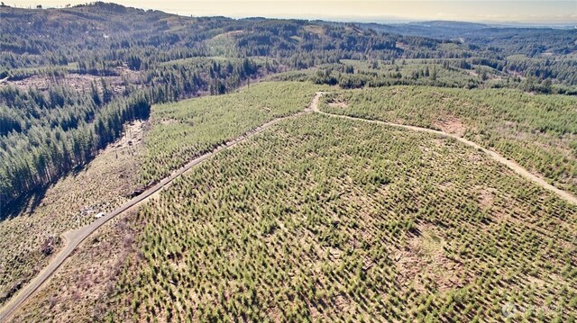4 NE Jones Creek Rd, Camas, WA 98607 - photo 13