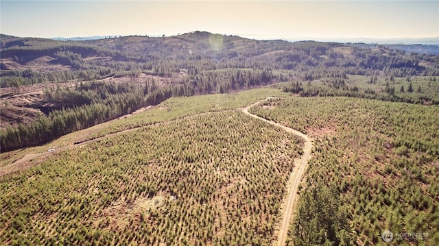 4 NE Jones Creek Rd, Camas, WA 98607 - photo 14