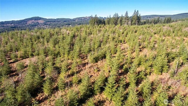 4 NE Jones Creek Rd, Camas, WA 98607 - photo 24