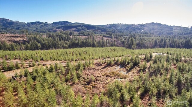 4 NE Jones Creek Rd, Camas, WA 98607 - photo 29