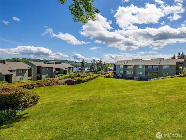 view of green lawn with a residential view