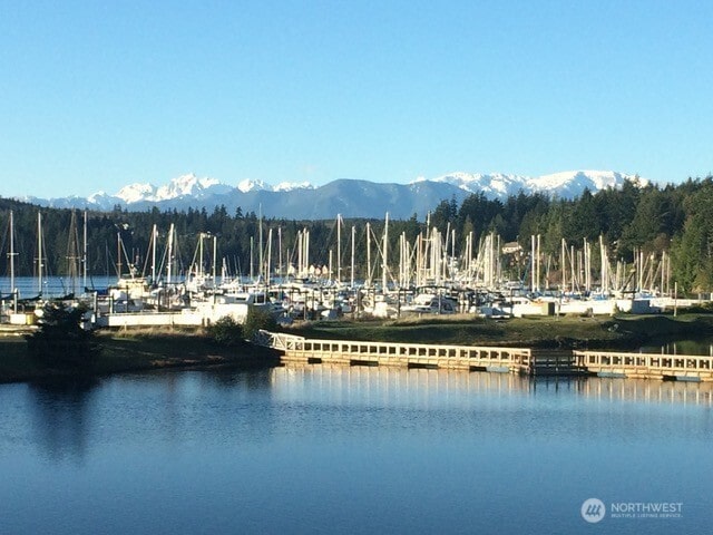 water view featuring a mountain backdrop and a forest