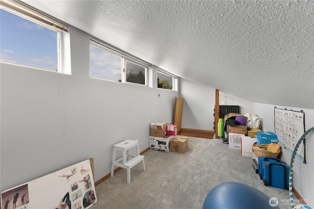 701 5th Ave S Unit C105, Kent, WA 98032 - rec room with a textured ceiling, plenty of natural light, carpet floors, and lofted ceiling