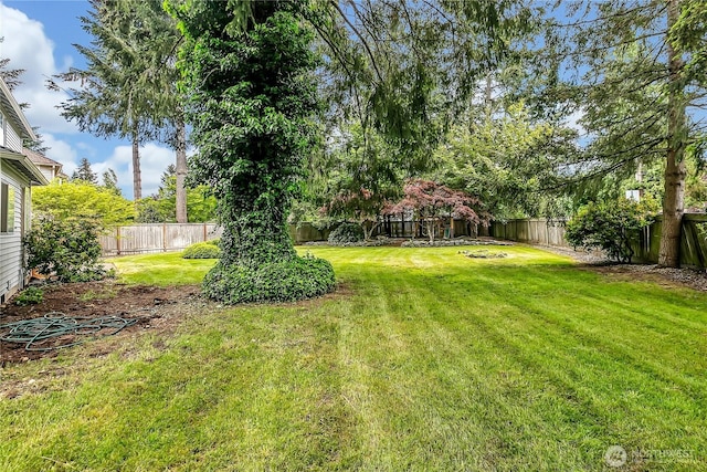 8612 165th Street Ct E, Puyallup, WA 98375 - view of yard