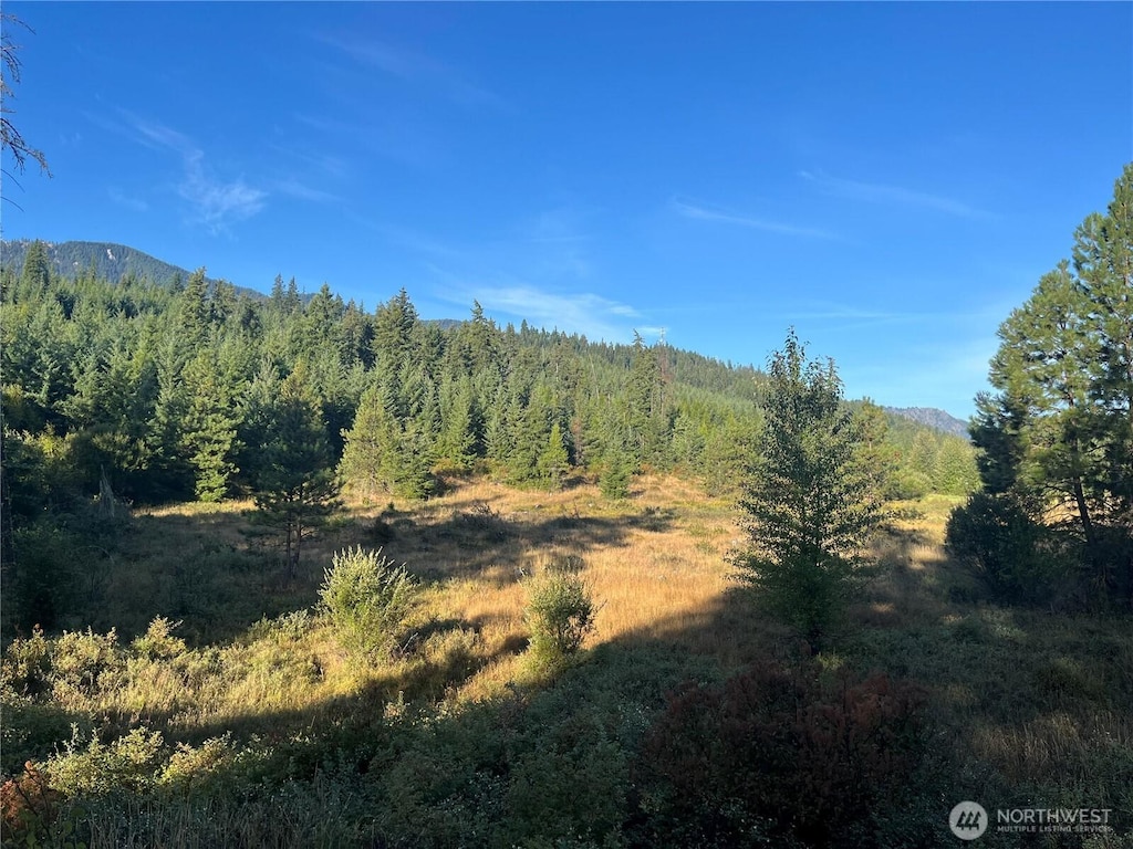 0 Stone Ridge Dr, Cle Elum, WA 98922