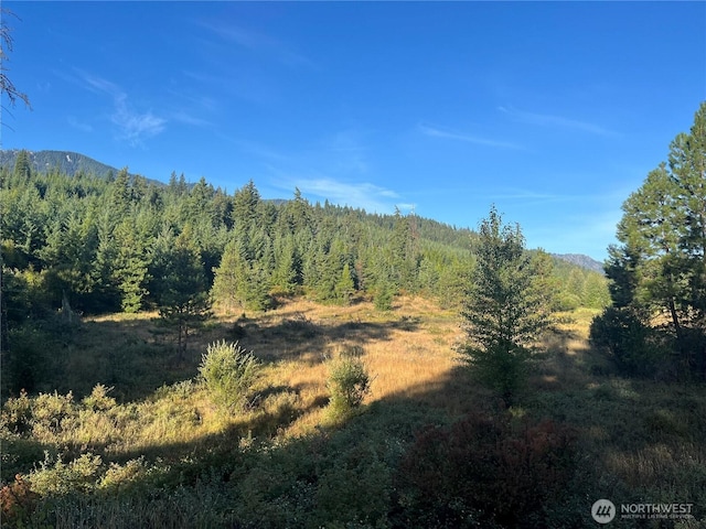 0 Stone Ridge Dr, Cle Elum, WA 98922