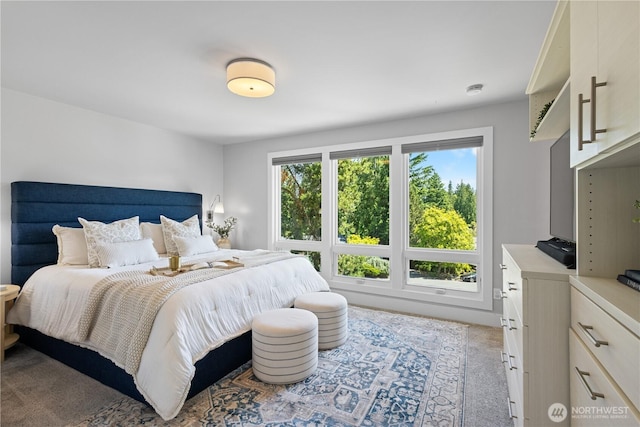 17905 NE 19th Pl, Bellevue, WA 98008 - view of carpeted bedroom