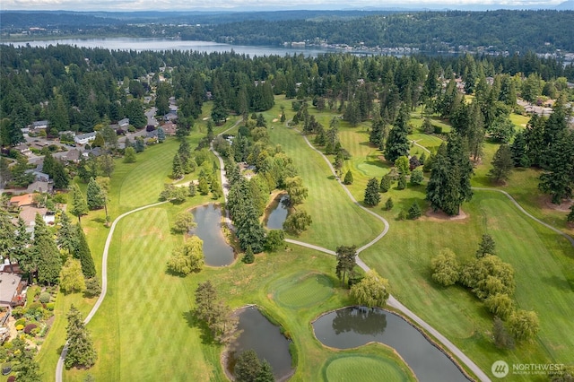 17905 NE 19th Pl, Bellevue, WA 98008 - aerial perspective of suburban area with a large body of water and a golf course