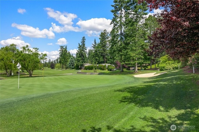 17905 NE 19th Pl, Bellevue, WA 98008 - surrounding community with a putting area, a lawn, view of scattered trees, and view of golf course