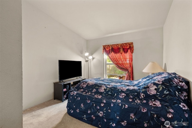 300 E Skookum Dr NE, Shelton, WA 98584 - view of carpeted bedroom