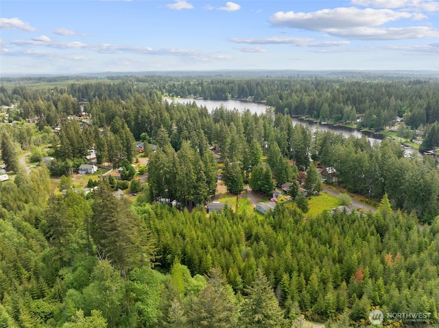 300 E Skookum Dr NE, Shelton, WA 98584 - drone / aerial view of a heavily wooded area and a nearby body of water