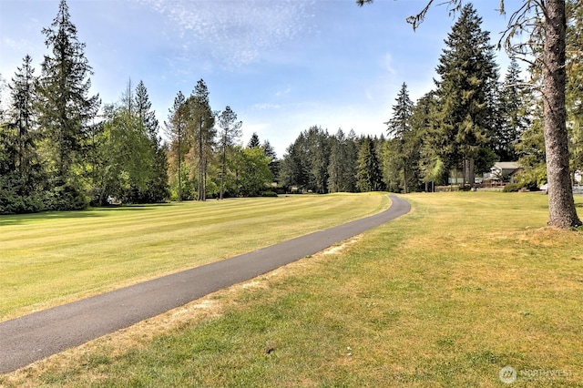131 N Fairway Dr W, Hoodsport, WA 98548 - surrounding community with a yard