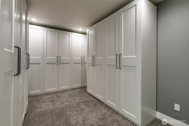 1774 Farmview Ter, Lynden, WA 98264 - view of closet