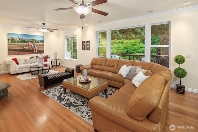 living area featuring crown molding, baseboards, wood finished floors, and a ceiling fan