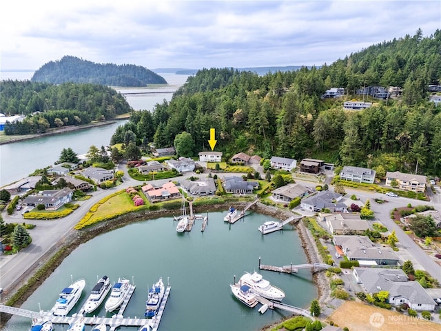 bird's eye view of a large body of water and a heavily wooded area