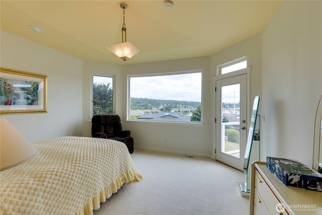 bedroom featuring access to exterior, light carpet, and baseboards
