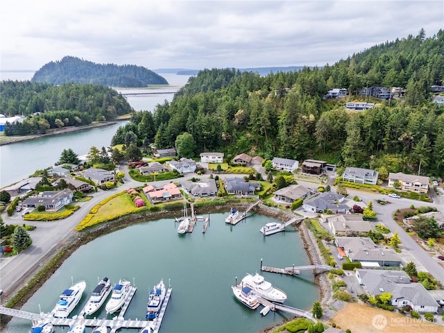 bird's eye view of a large body of water and a heavily wooded area